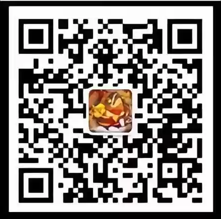 灯塔蜀国阵容(蜀国最强阵容搭配推荐)插图3
