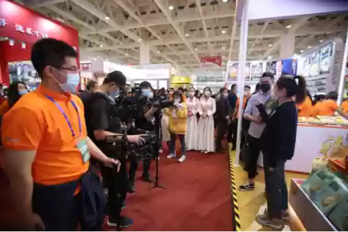 福临门阵容(福星阵容都有谁)插图1