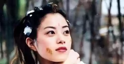 铮铮最次阵容(足球最强阵容)插图7