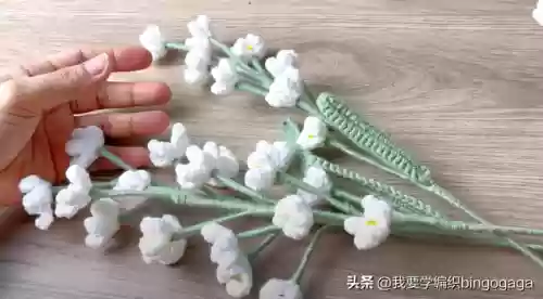 满天星花束(满天星花语及寓意)插图32
