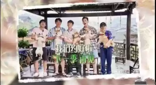 向往的生活5阵容推荐图(植物大战僵尸最强阵容搭配图片)插图15