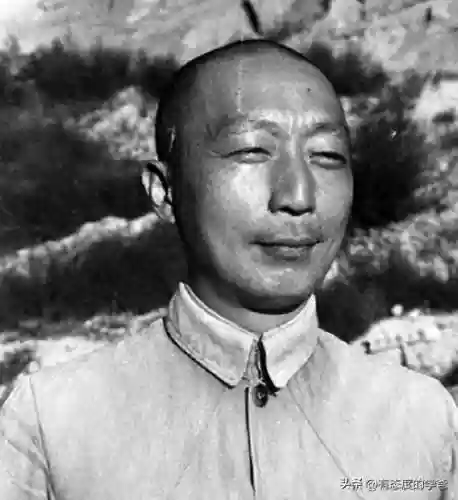 猪坚强阵容(打养猪流什么阵容最好)