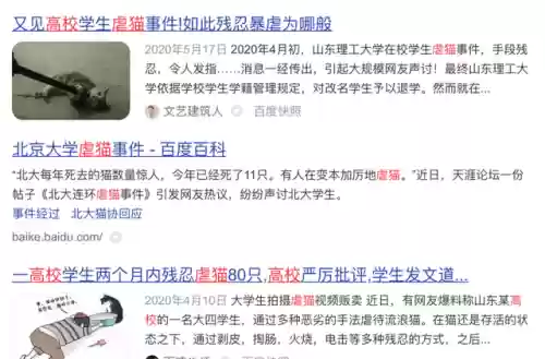 窥探主演阵容(窥探中人物关系表)插图20