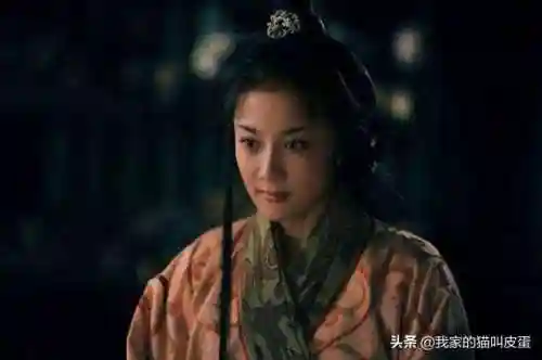 三国人妻妾阵容攻略(三国娶妻纳妾游戏)插图5