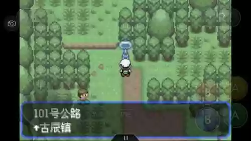 口袋妖怪绿宝石4新手阵容(口袋妖怪绿宝石阵容推荐)插图101