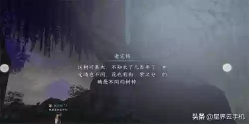 逆水寒奇遇攻略大全及奖励(逆水寒231个奇遇大全表格)插图3