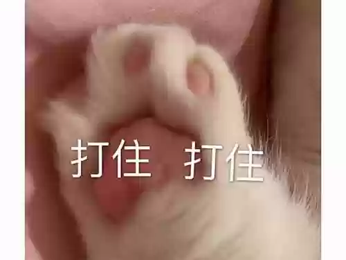 虐杀原形2武器威力排行(虐杀原形2疯狂难度区别)插图9
