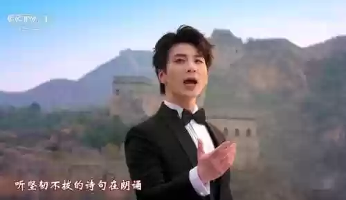 端午晚会阵容(央视端午晚会2024节目单表)插图4