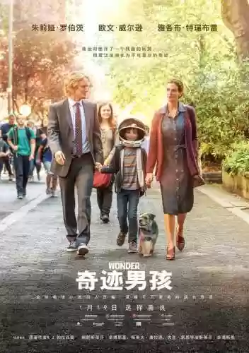 奇迹诺亚阵容(艾诺迪亚4阵容推荐)插图1