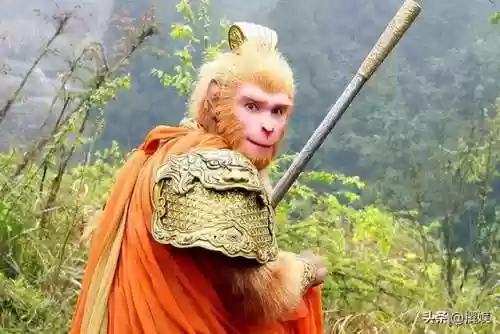 水浒少年阵容(全民水浒最强阵容第一)插图23