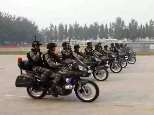 骑射阵容云顶(云顶之弈阵容搭配图)插图7 骑射阵容云顶(云顶之弈阵容搭配图)插图7