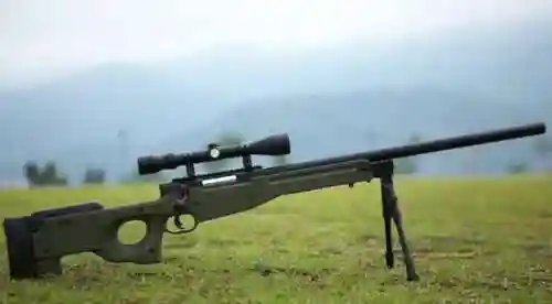 枪械武器大全(全球枪械图鉴大全)插图7