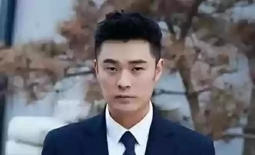 全明星企业家阵容名单(全明星三国最强阵容)插图3