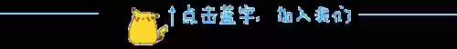 口袋恶心阵容(口袋妖怪最强无解阵容)