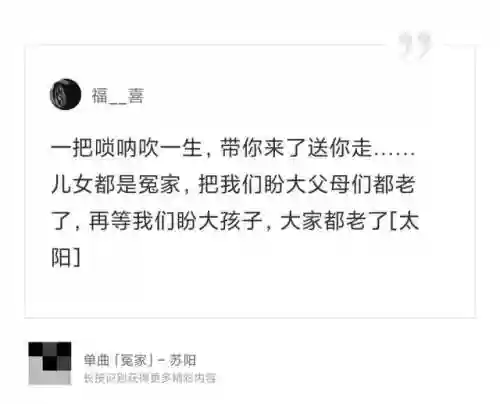 吹唢呐阵容(手机版唢呐模拟)插图17
