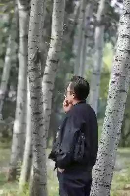 金灿灿毒瘾阵容(金灿灿福星版本哪个阵容最强)插图5