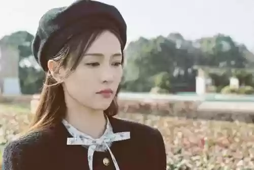 芒果招商阵容(霸业小程序阵容搭配)插图4