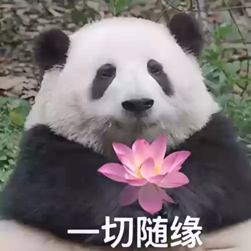 泡泡游戏大厅关闭了吗(免费泡泡游戏)插图9