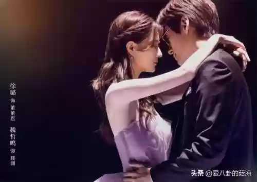 甲方乙方电视剧阵容搭配(甲方乙方演员表全部)