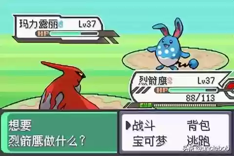 究极绿宝石战神阵容搭配(究极绿宝石3金手指大全)插图14