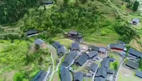 向往的生活5阵容推荐图(植物大战僵尸最强阵容搭配图片)插图3
