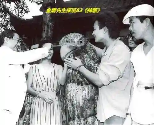 老版神雕侠侣83版电视剧(神雕侠侣83版免费观看粤语)插图84