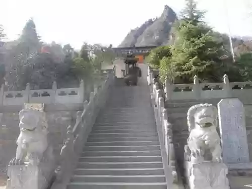 我在武当睡十年(武当睡十年最新章节内容)插图99