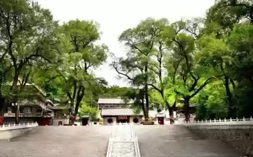 阵容彭佳慧(彭佳慧所有歌曲大全)插图10