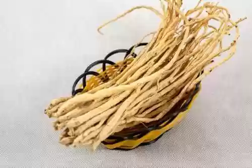 酸腐流阵容(地牢求生阵容搭配)插图1