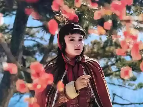 红楼梦贾宝玉王熙凤马车(知礼王熙凤为何与宝玉同坐一车)插图1