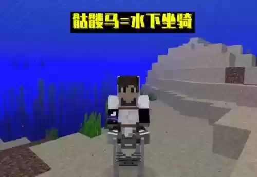 我的世界僵尸马(我的世界十大遗忘boss)插图3