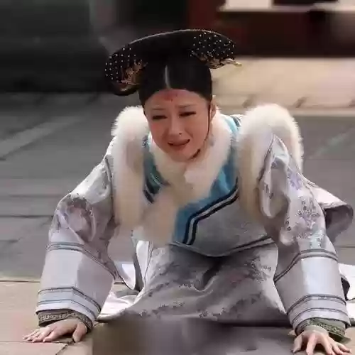 皇后阵容和甄嬛阵容搭配(甄嬛传手游最强阵容)插图1