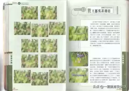 永恒传说攻略图文(永恒传说最终武器)插图26