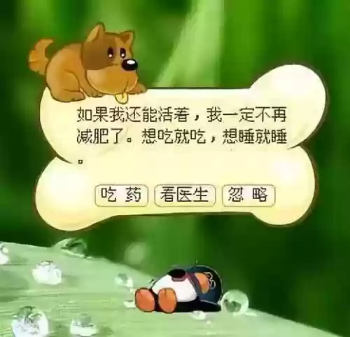 宠物小精灵停服了吗(宠物小精灵手游下载)插图3