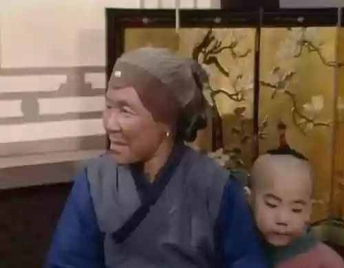 神仙阵容赵丽蓉(天龙八部3d美人搭配最新阵容)插图4