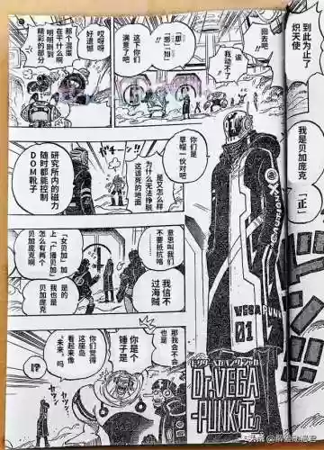 海贼王900集国语版卡通站(海贼王角色介绍)插图14