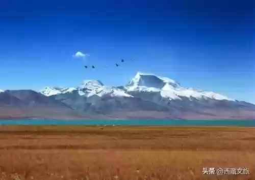 藏北最强阵容(原神四星角色阵容推荐)插图30