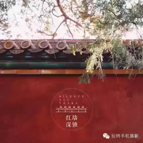 阵容美图软件(十大好用美图软件)插图6