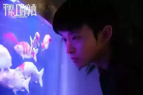 无期迷雾阵容(无期迷途阵营图鉴)