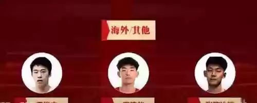 森林狼青年队阵容(森林狼西决赛季阵容)插图11