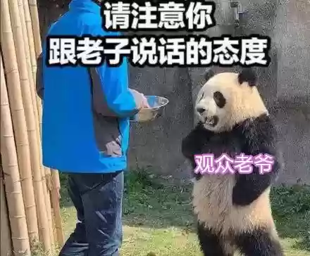 白金阵容云顶(云顶钻石什么水平)插图2