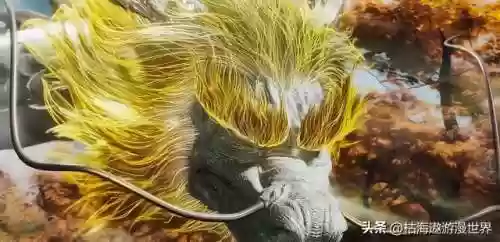 饕餮武魂阵容(饕餮武魂魂技)插图1