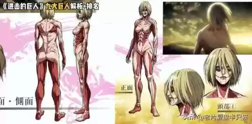 进击的巨人女巨人(女巨人阿尼是好人吗)插图16
