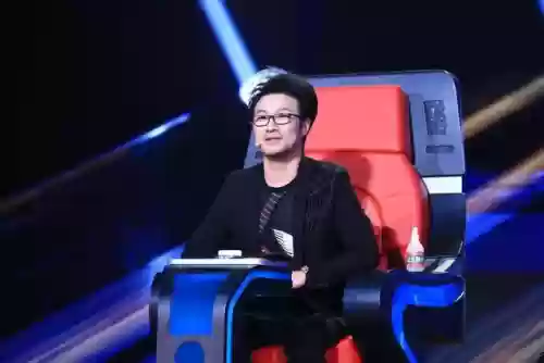 原定好声音导师阵容(中国好声音有哪些导师)插图7
