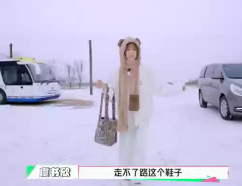 雪罐子阵容(雪刀群侠传阵容)插图18