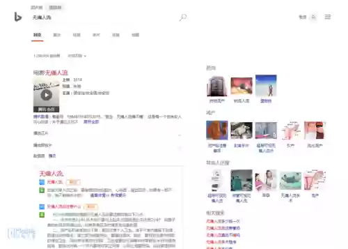 必应国际版(bing搜索国际版入口)插图2 必应国际版(bing搜索国际版入口)插图2