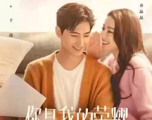 男女主演阵容(内地配角男演员大全)插图2