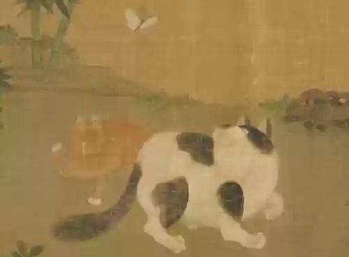 猫和老鼠共研服激活码2021(猫和老鼠怎样加入共研服)插图8