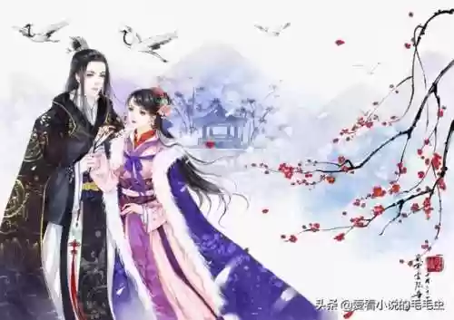 整篇都是车的小说推荐言情古言(车比较多的古言)插图1