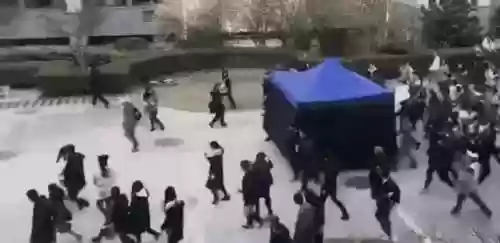 保镖阵容大全(武侯英杰传最强阵容)插图7